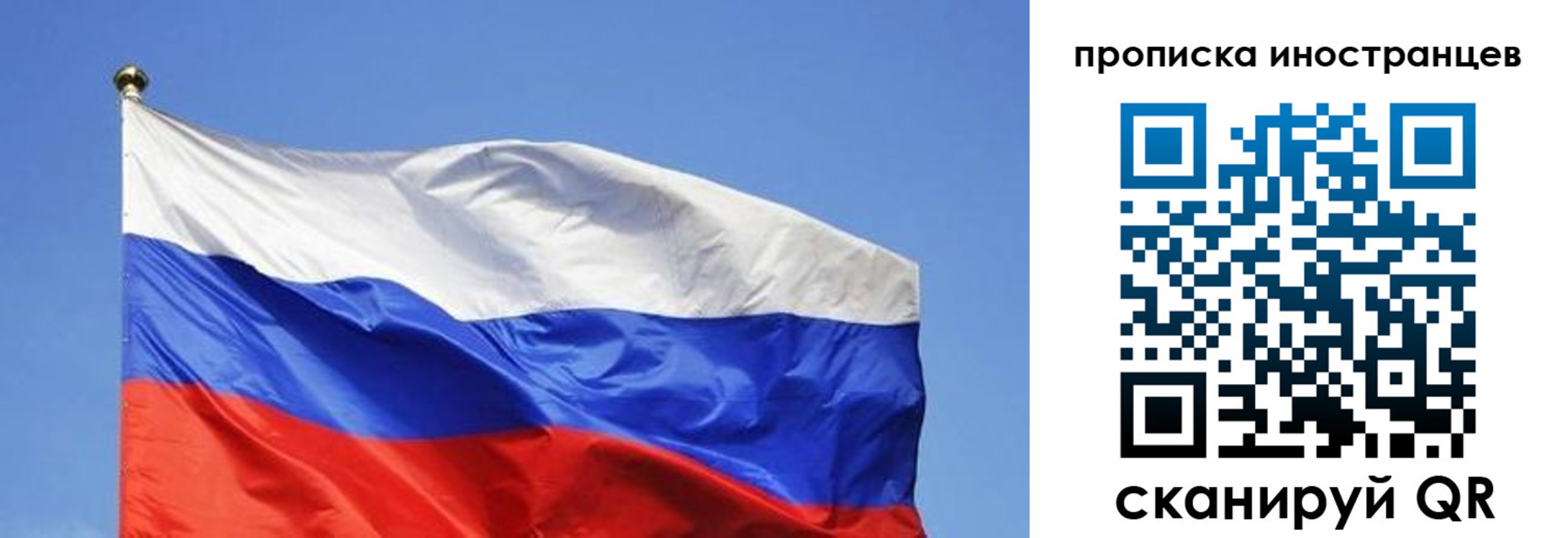 регистрация в Курской области